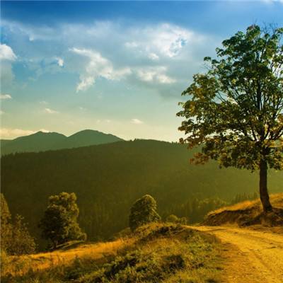 斗牛棋牌下载手机版